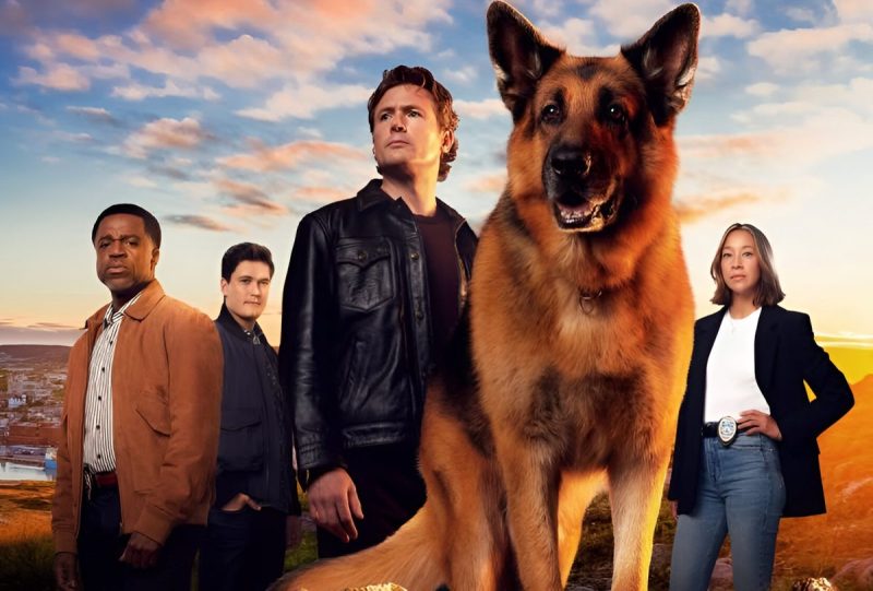 ‘Hudson & Rex’ Producer Mourns Death of Furry Actor